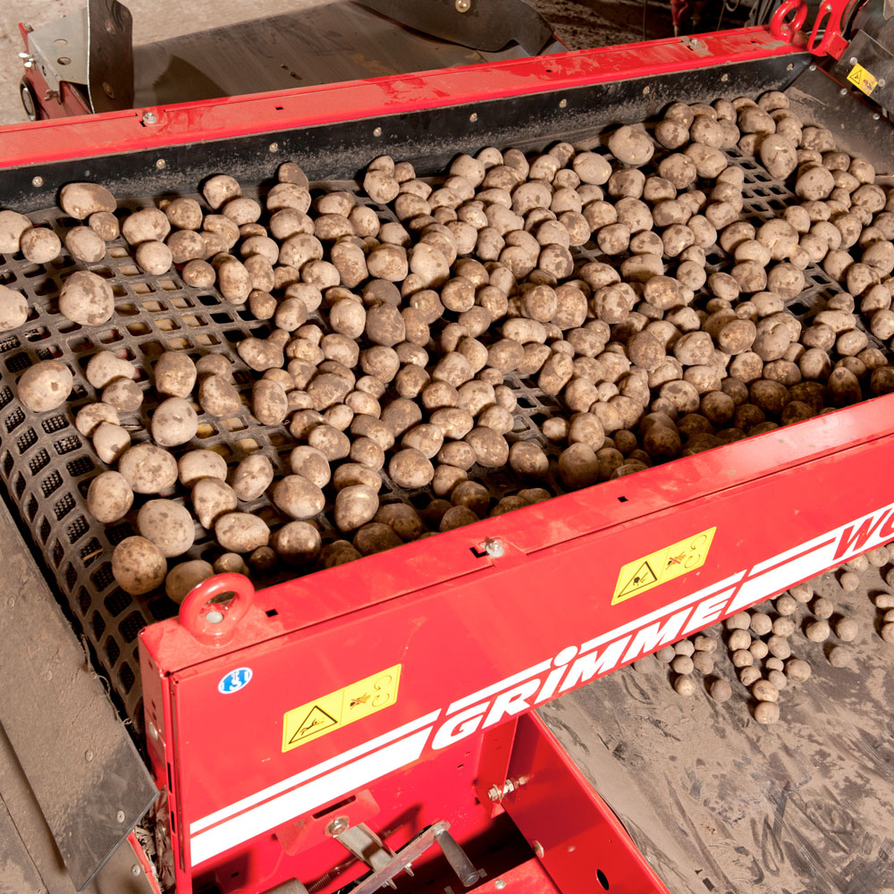 web grade wg 900