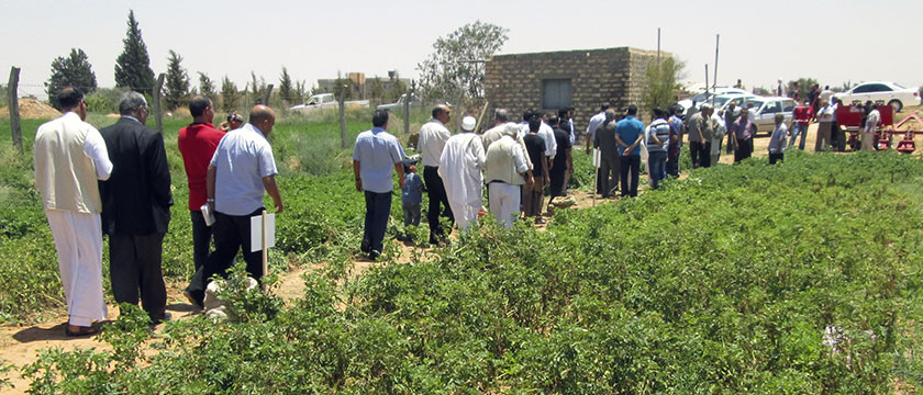 field-day2013