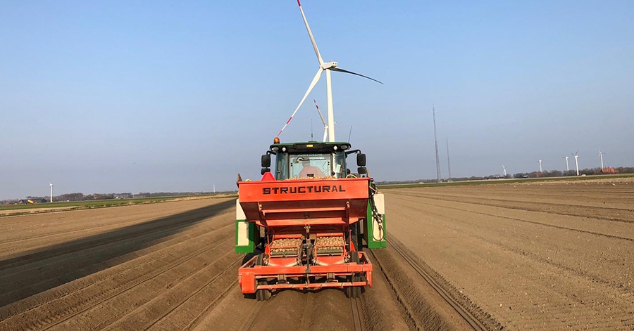 Royal ZAP crop 2021 Netherlands